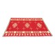 ALSANIDI, Ground seating mat for camping , Portable Camping and Hiking Floor Mat, Red, Size L160*W220 Cm