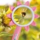 ALSANIDI, magnifying glass, Lens for children, Pink, Size L:23* W:12* H2 Cm