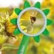 ALSANIDI, magnifying glass, Lens for children, Green, Size L:23* W:12* H2 Cm