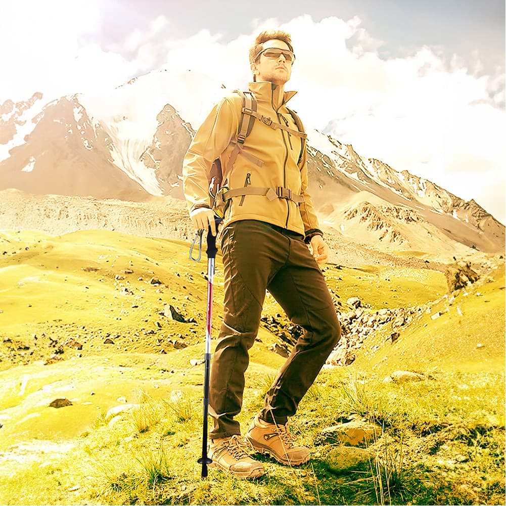 DPT, Foldable Hiking Pole, Hiking Stick, Silver, Size 135 Cm