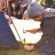 DPT, Camping Hammer, Aluminum and Steel Hammer, Orang, Size 29.5 Cm