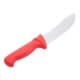 ALSANIDI, Butcher Stainless steel knife, Kitchen knife, Turquoise, Size 6 inch