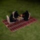 Alsanidi, a floor seating mat for trips, camping, and desert outings, padded with sponge, traditional rug, wooden *oudi.