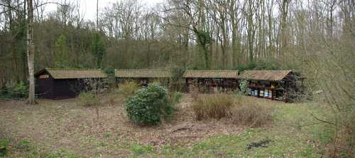 bijenschans