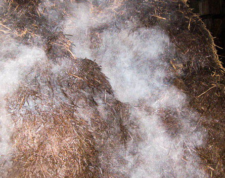 compost 02