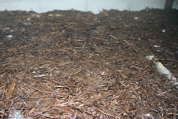 Compost 32 1