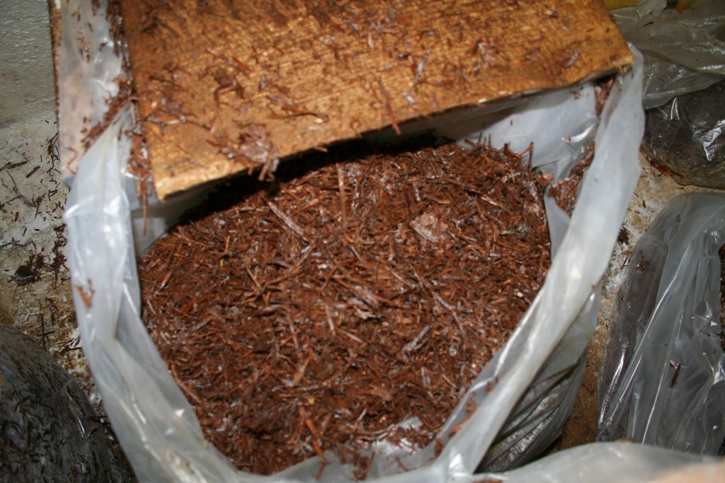 compost1 14