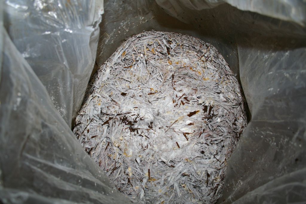 compost1 16