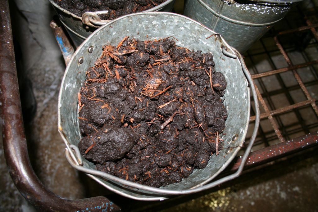 compost1 23
