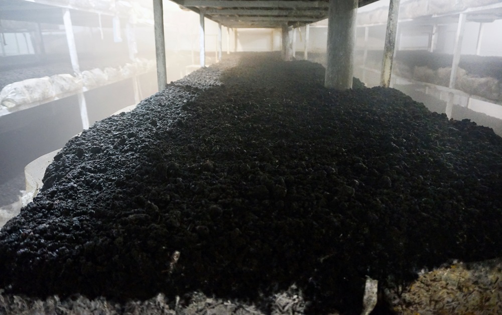 compost 38