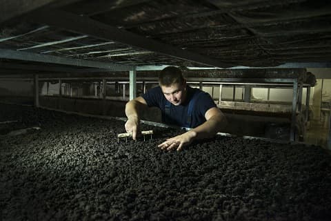compost 45