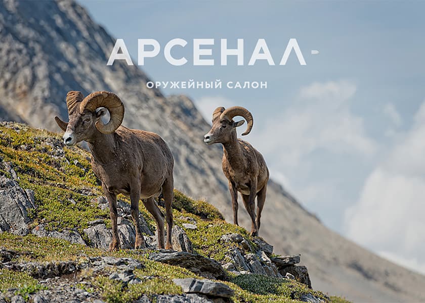 Подарочный сертификат на 50 000 руб.