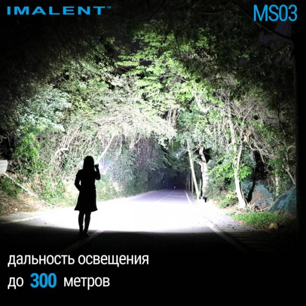 ms03-2