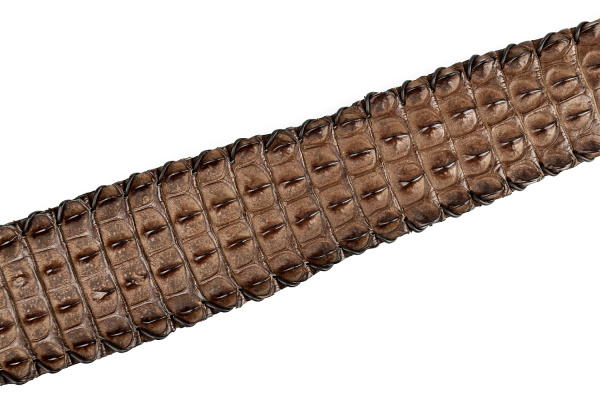 Погон ружейный из кожи крокодила, коричневый 2