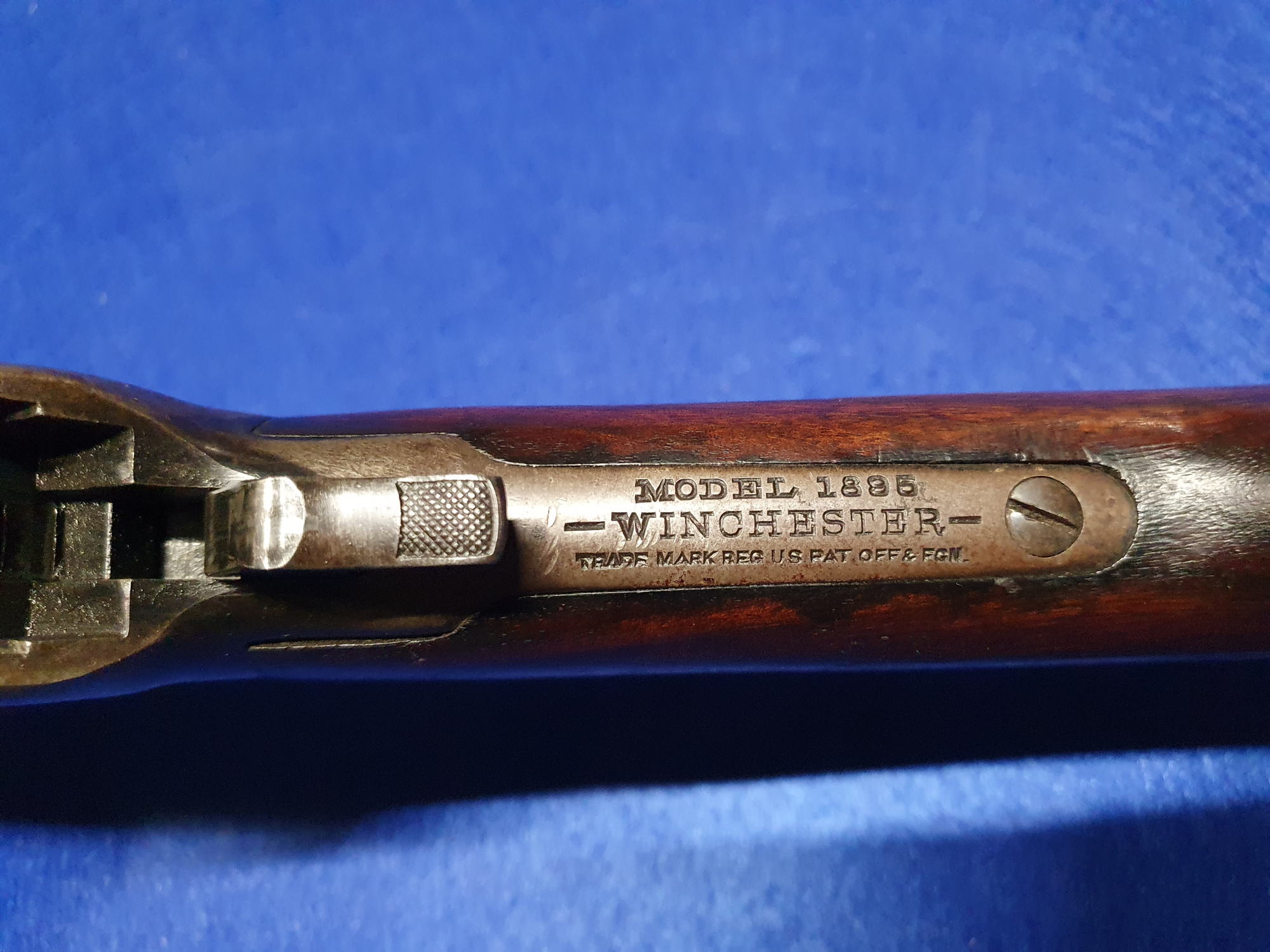 1895 4