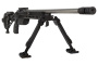 ssg4