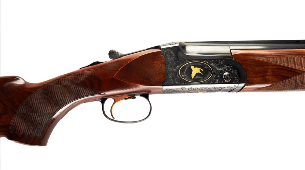 FAU-ELG_0002