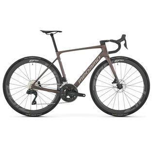 MEGAMO RAISE TLR - GARNET UD XL (26)