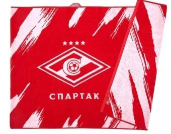 Полотенце пляжное с индивидуальным лого 100х160, 420 гр/м2  - Proffitex