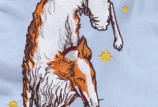 Вышивка на ткани