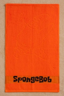 Полотенца с Логотипом в Бордюре полиэфирной нитью для рук 50*40  - Proffitex