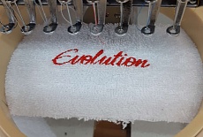 Вышивка на ткани