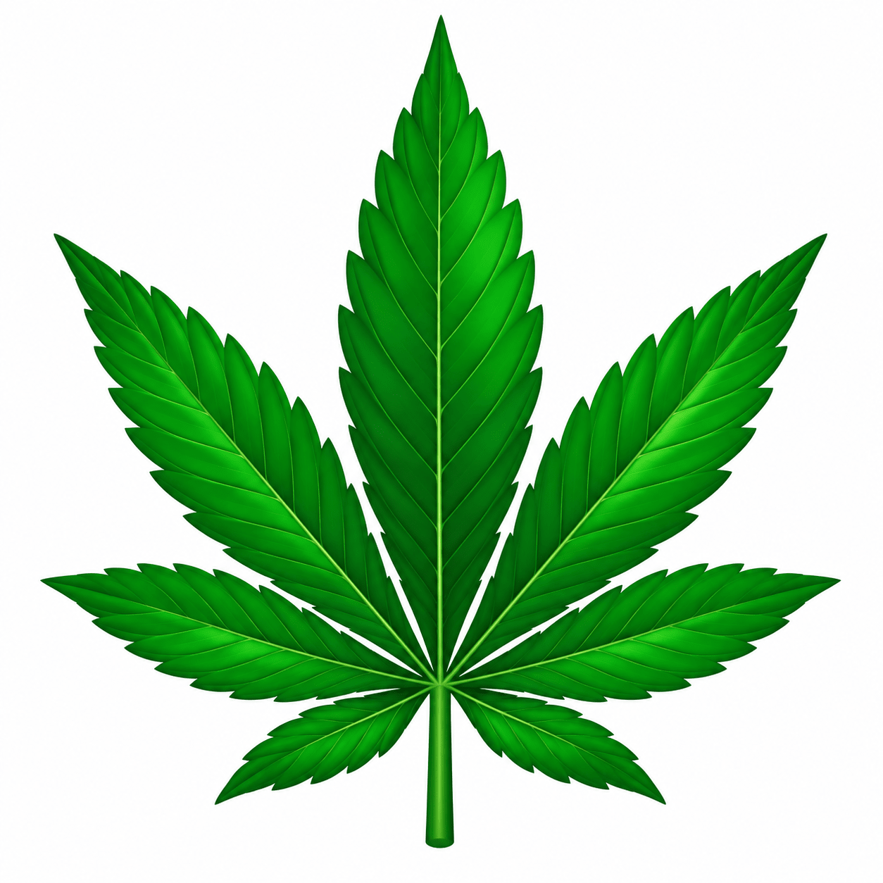Cannabis