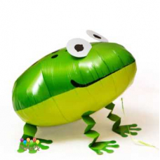 Заказ шаров с гелием с круглосуточной доставкой. Мимо Дутти, Москва