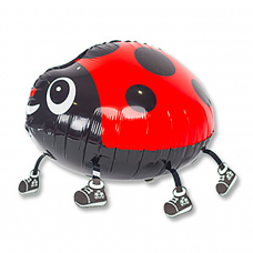 Заказ шаров с гелием с круглосуточной доставкой. Мимо Дутти, Москва