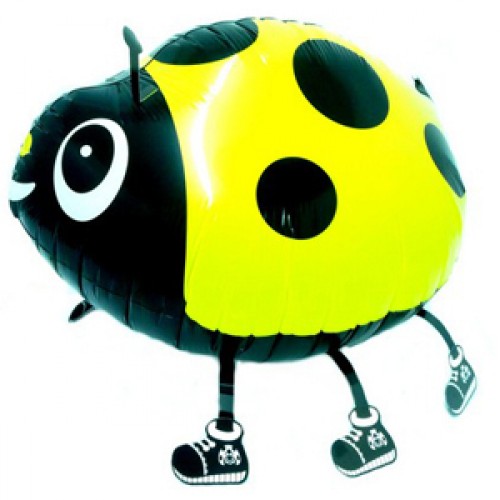 Заказ шаров с гелием с круглосуточной доставкой. Мимо Дутти, Москва