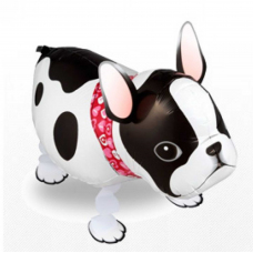 Шары с гелием от Мимо Дутти. Москва. Круглосуточная доставка!