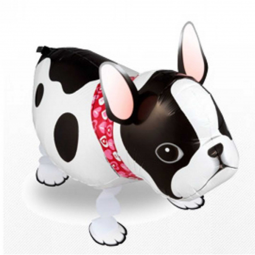 Шары с гелием от Мимо Дутти. Москва. Круглосуточная доставка!