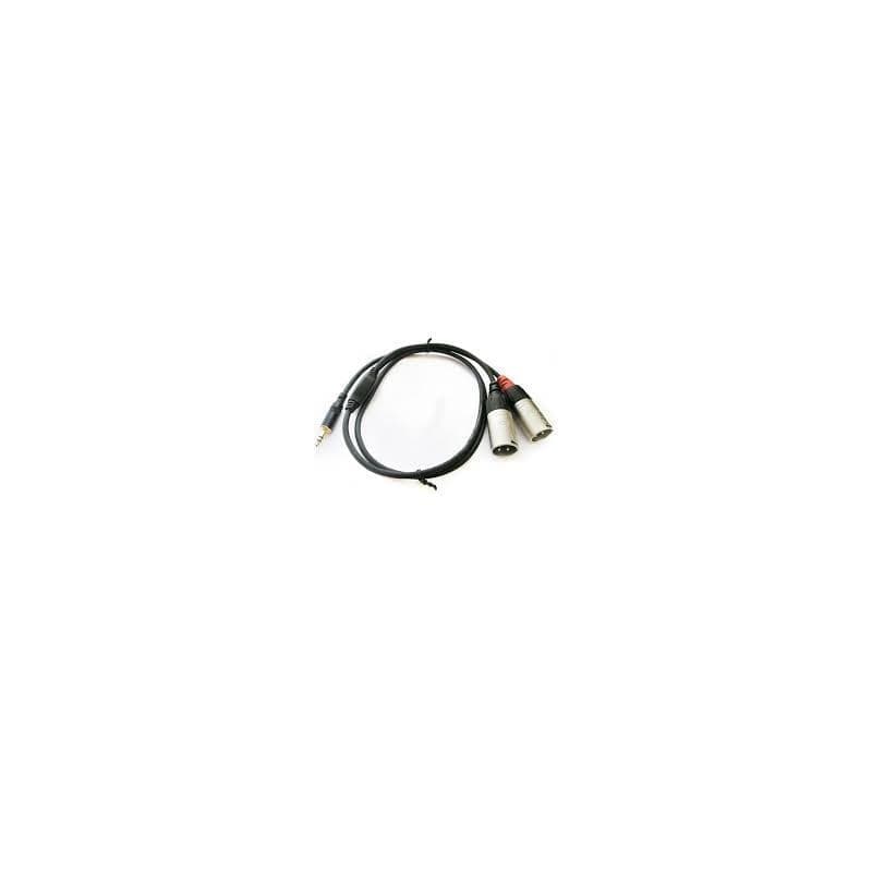 Rean Cable NRA-140-0130-009 Cable 2xlr/M-mini plug stereo 0.9mt