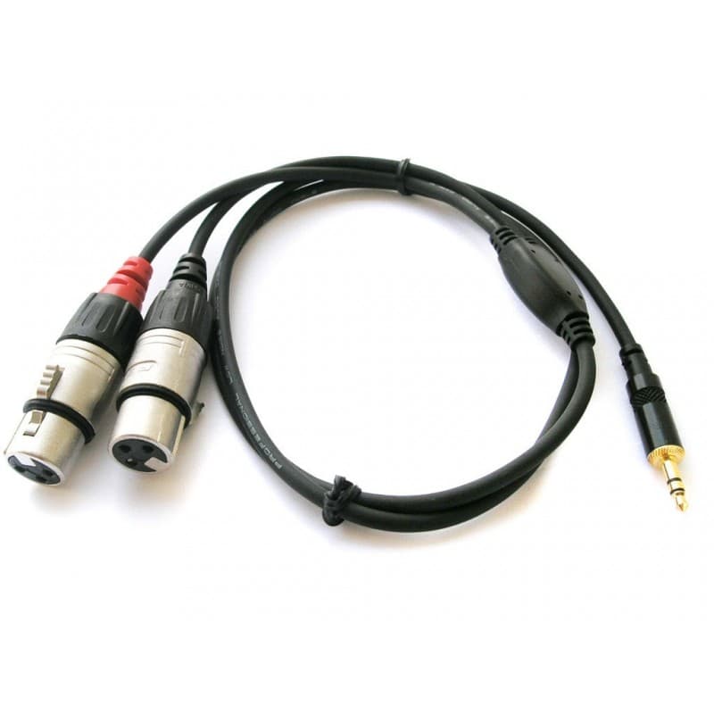 Rean Cable NRA-0140-009 Cable 2xlr/F-mini plug stereo 0.9mt