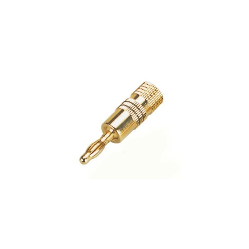 Studiomaster CG125-B Conector Banana Gold/Negro (unidad)