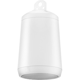 Electrovoice EVID P2.1 Parlante colgante 16 ohms (par)