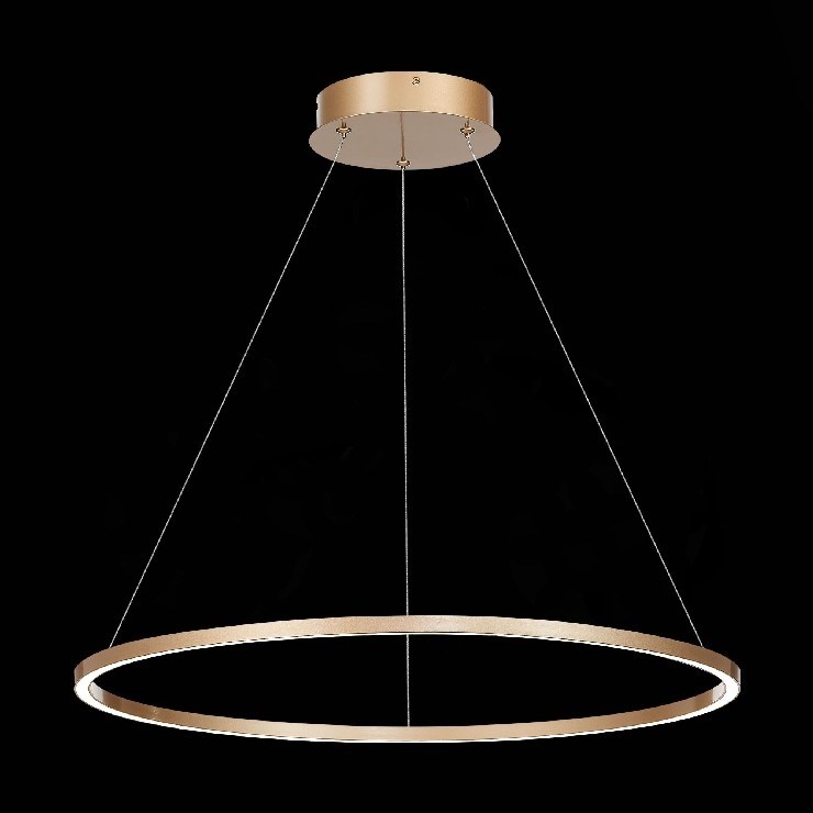 Светильник подвесной Function Gold D60 4000К (светит вниз)