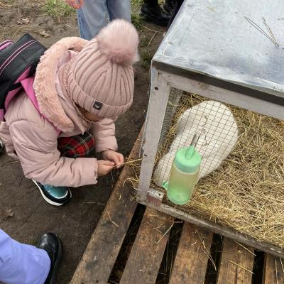 Swiateczna Wioska 21