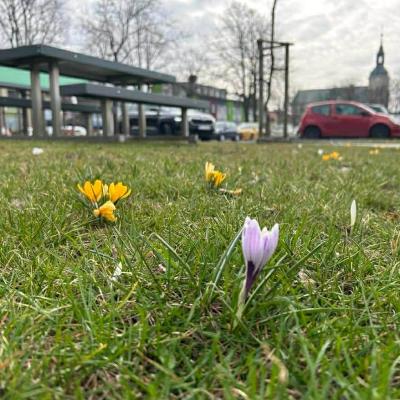 1b646fcc 1c06 4cb8 9cf3 0fdd8f8a5eed