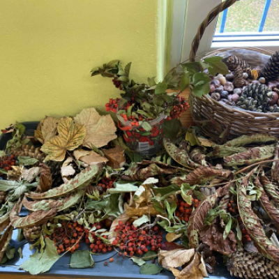 5d0326c7 9b46 409b Ac1c 8f058f5451bd2