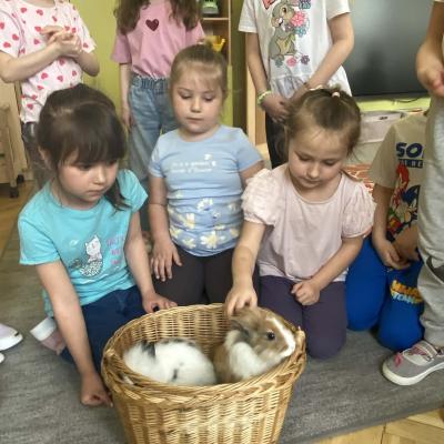 03843e0b Ed07 4d65 841e 7891fb9faf95