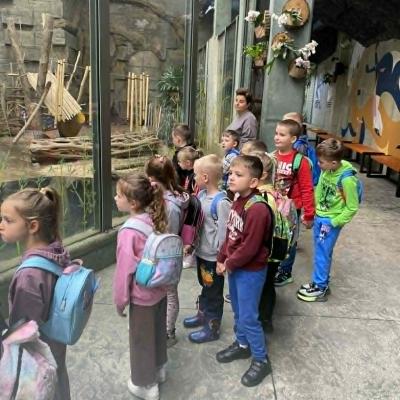 Zoo 11