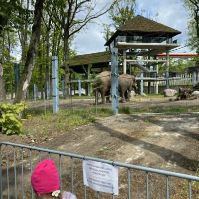 Zoo 12