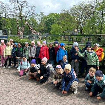 Zoo 16