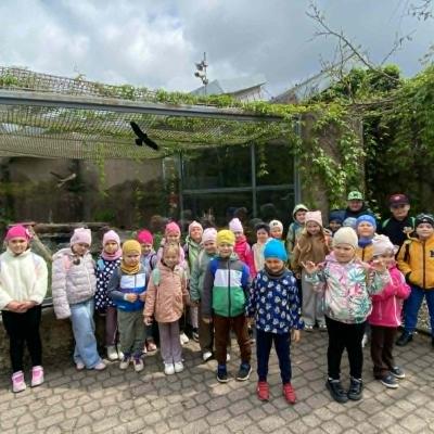Zoo 20