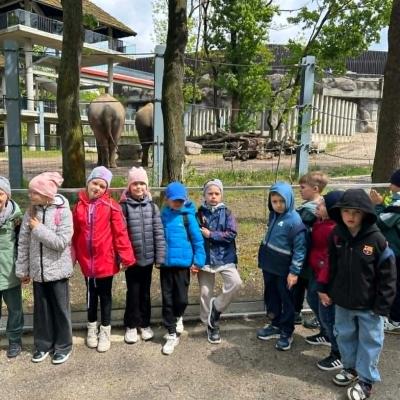 Zoo 21