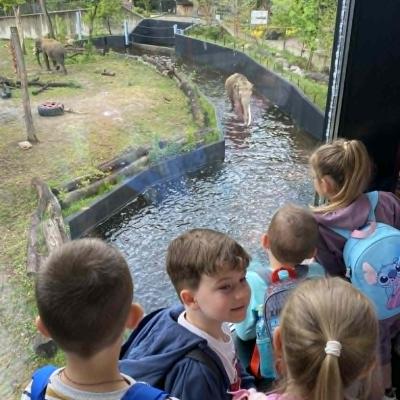 Zoo 22