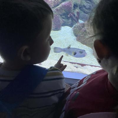 Zoo 23
