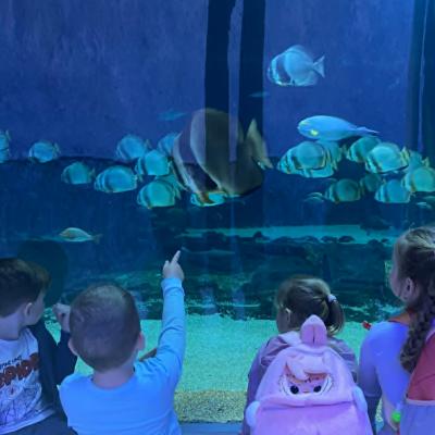 Zoo 3