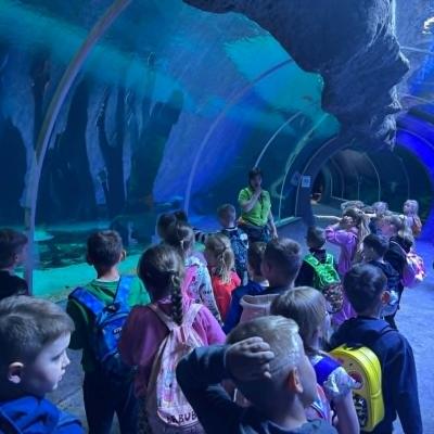 Zoo 4